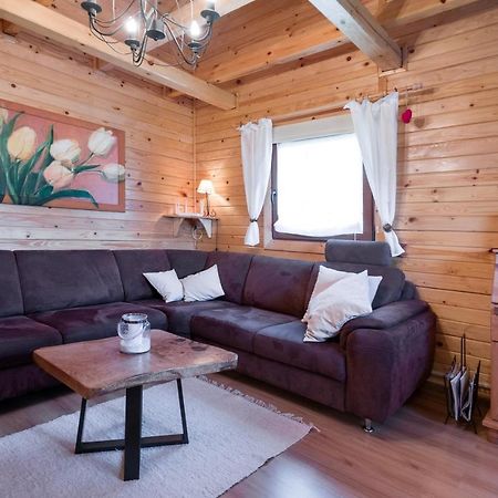 Andrzejowka Villa Kocon Ngoại thất bức ảnh